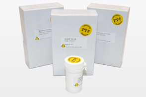 Immunogold Labelling