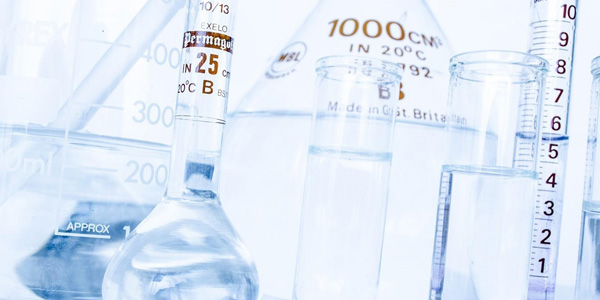 Behind the Scenes: A Look into Biological Sample Preparation for TEM