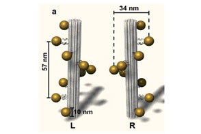 Gold Nanohelices (L/R) in Buffer, 30µl