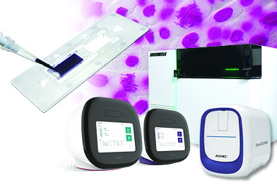 A little Story of Cell Counting