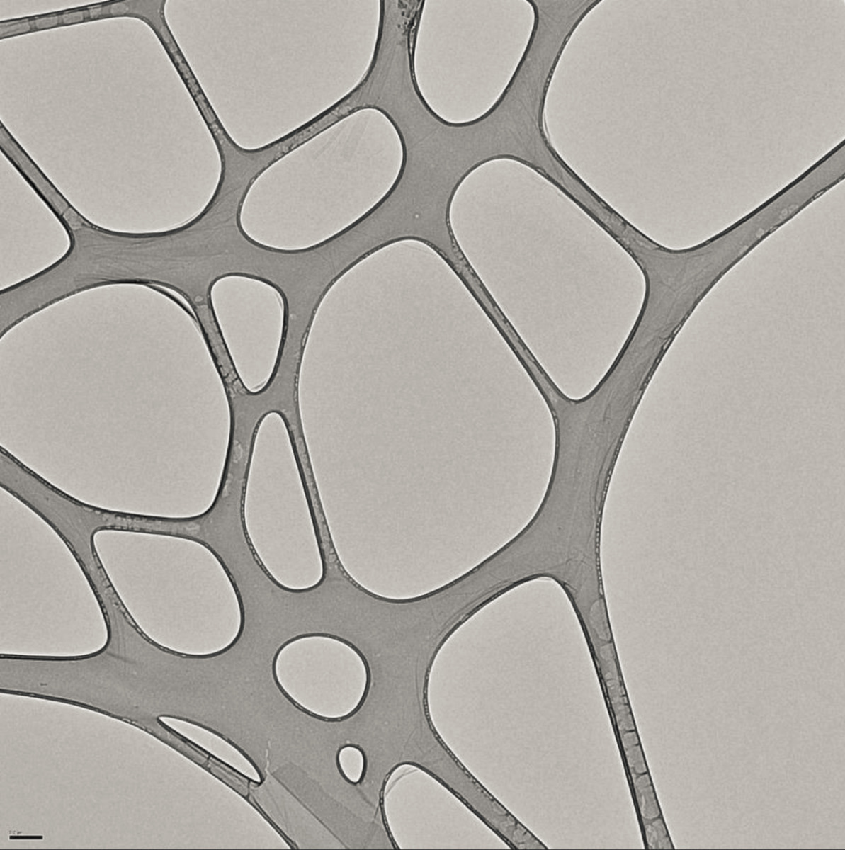 'The Grids were very clean as shown in the left image and the graphene oxide monolayer is visualized in the diffraction image (right).'