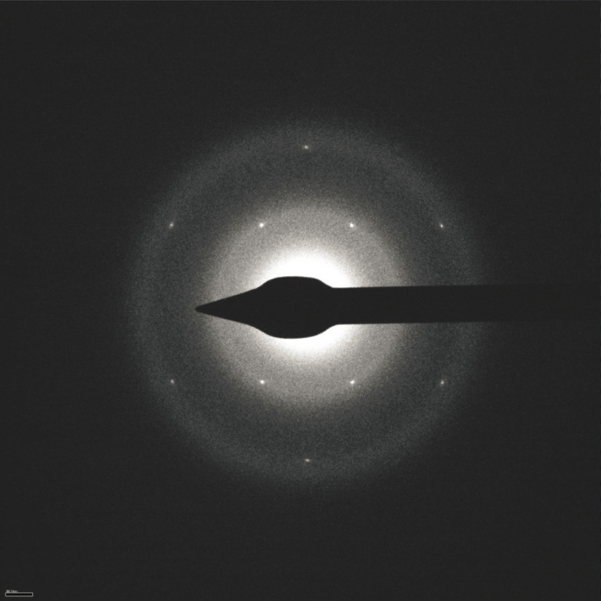 'The Grids were very clean as shown in the left image and the graphene oxide monolayer is visualized in the diffraction image (right).'