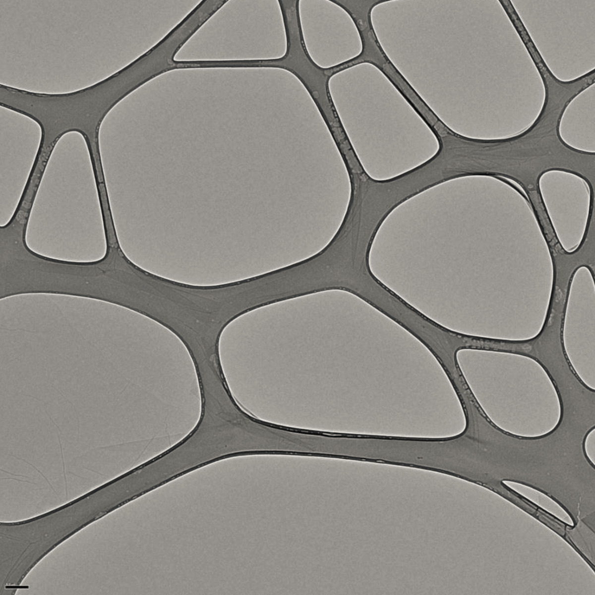 2 layers of the graphene oxide