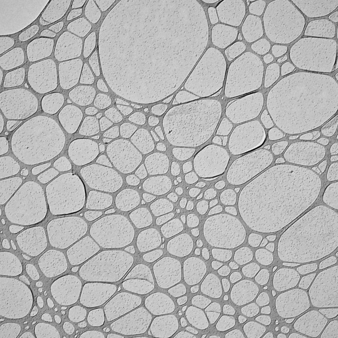 Graphene Oxide Grids - different holes