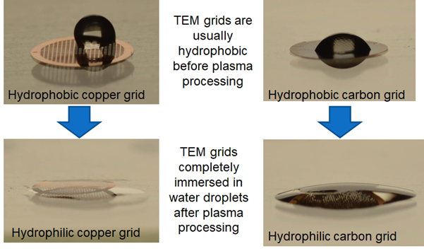 Before - After (TEM Grids)
