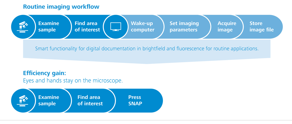 Zeiss AxioCam 208 - Workflows