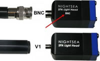 BNC Connector - V1 Connector