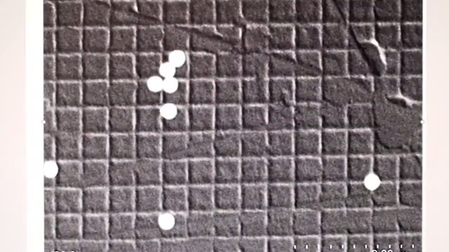 Magnification Calibration with Latex Spheres