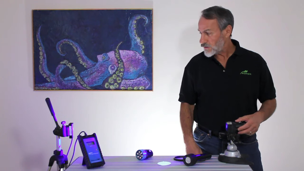 Fluoro diving - blue light vs white light with filter