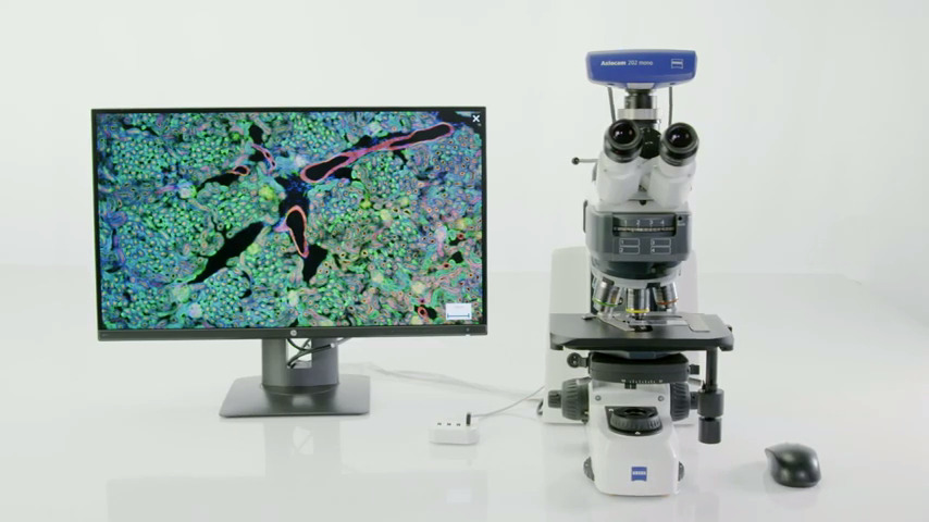 How-to: Multichannel Fluorescence Imaging