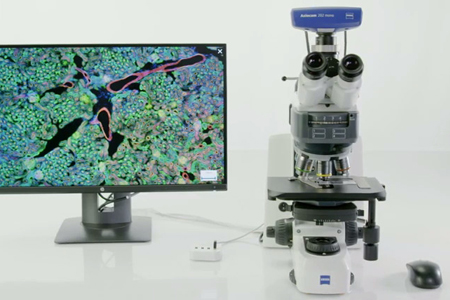 ZEISS Axioscope 5