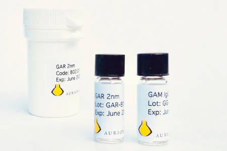 Immunogold Labelling