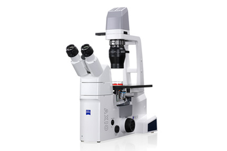 Inverted Microscopes
