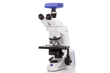 Lab Microscopes