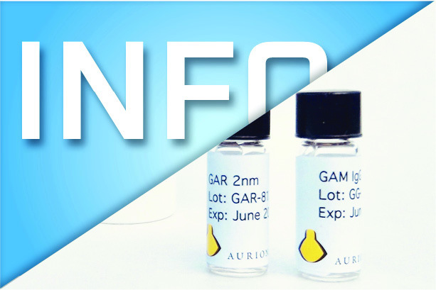Info - Immunogold Labelling