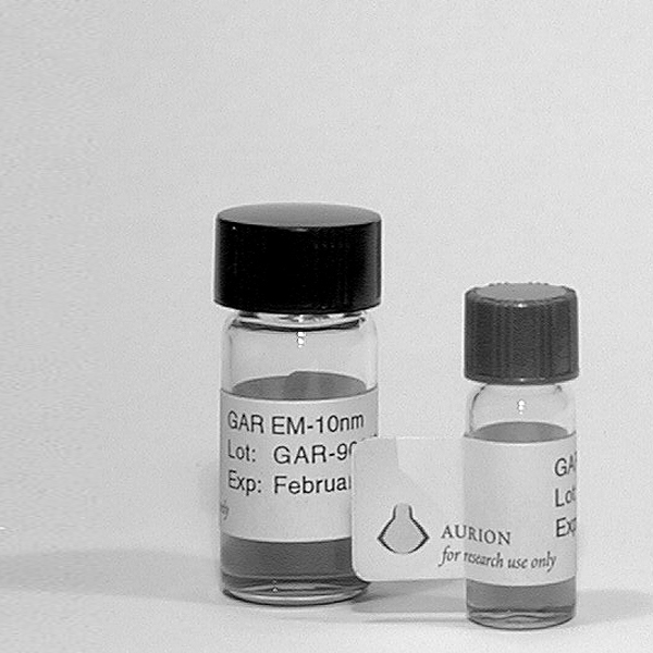 IMMUNOGOLD ANTIBODIES