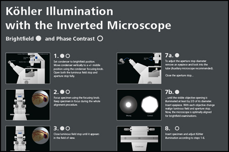 Köhler with the Inverted Microscope