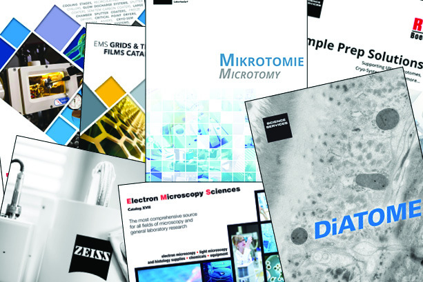 Catalogs