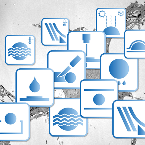 Workflows