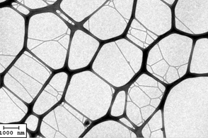 TEM Grids with Holey Support Film