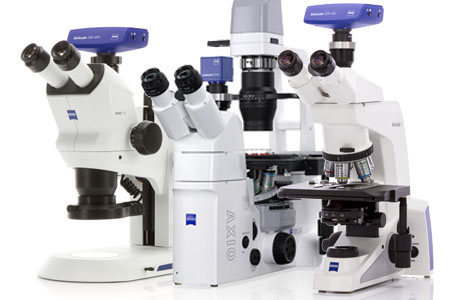 Types of Microscopes