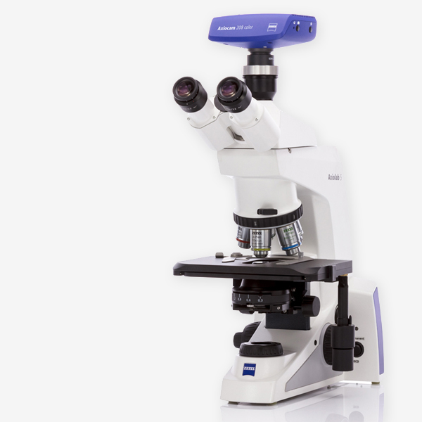 UPRIGHT MICROSCOPES