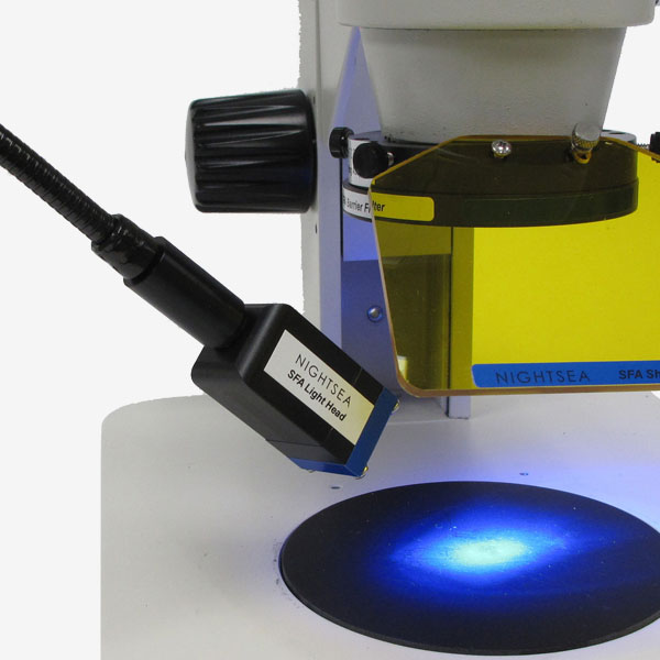 NIGHTSEA FLUORESCENCE SOLUTIONS