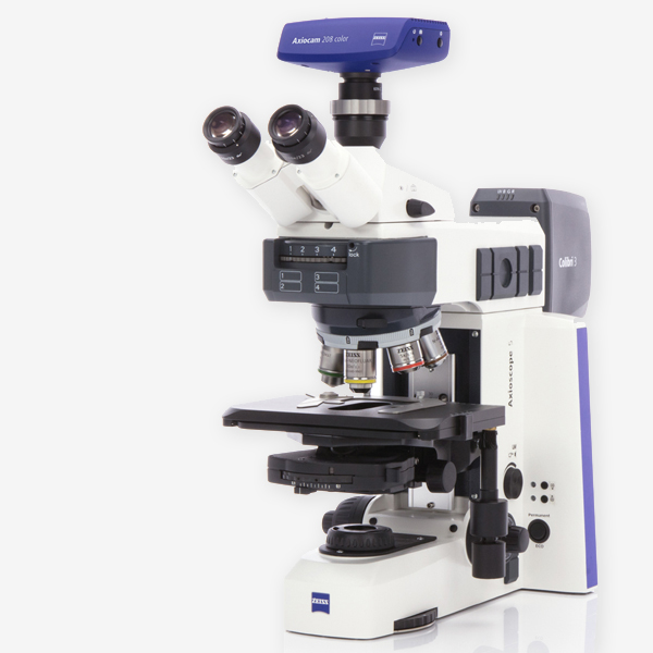 FLUORESCENCE MICROSCOPES
