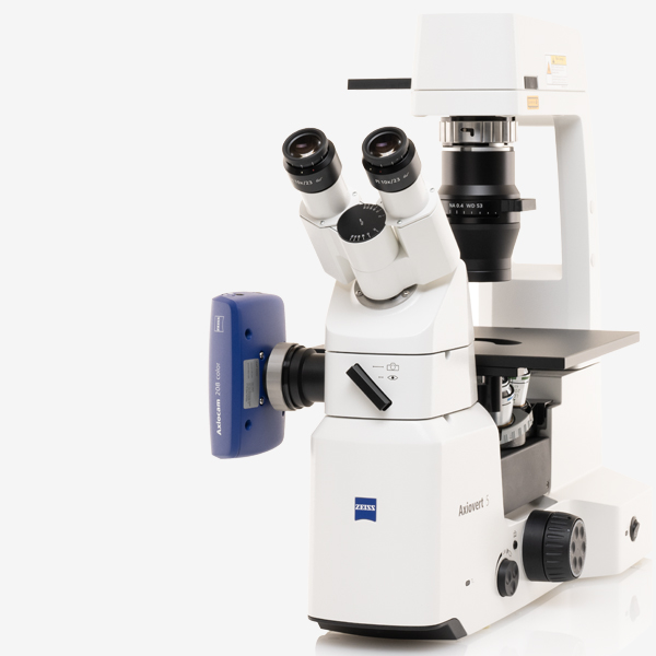 INVERTED MICROSCOPES