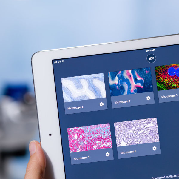 MICROSCOPE IMAGE ACQUISITION / ANALYSIS SOFTWARE