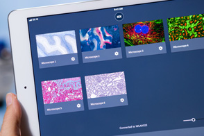 Microscope image acquisition/analysis software