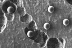 Particle Size Standards