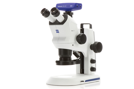 Stereo Microscopes