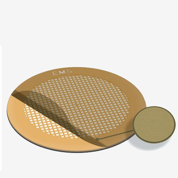 TEM GRIDS WITH HOLEY SUPPORT FILM