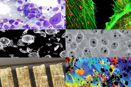 Types of Microscopy