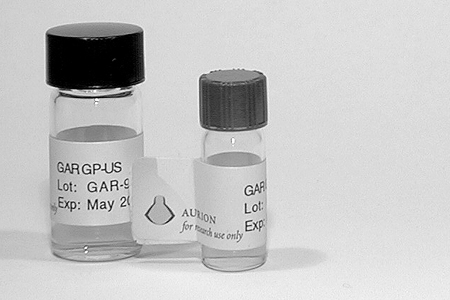 Immunogold Antibodies