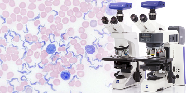 Microscopy Solutions for Hematology