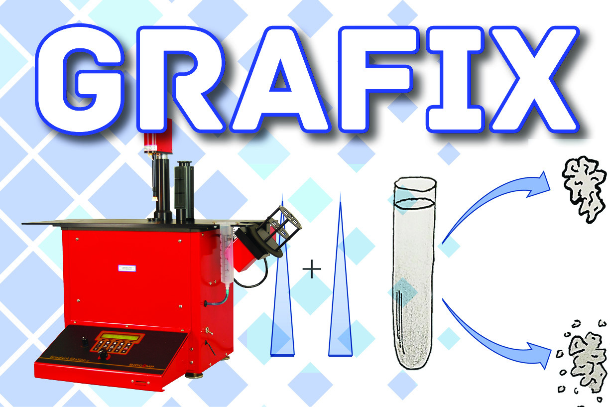 GraFix, enhance your samples for single particle cryo-EM