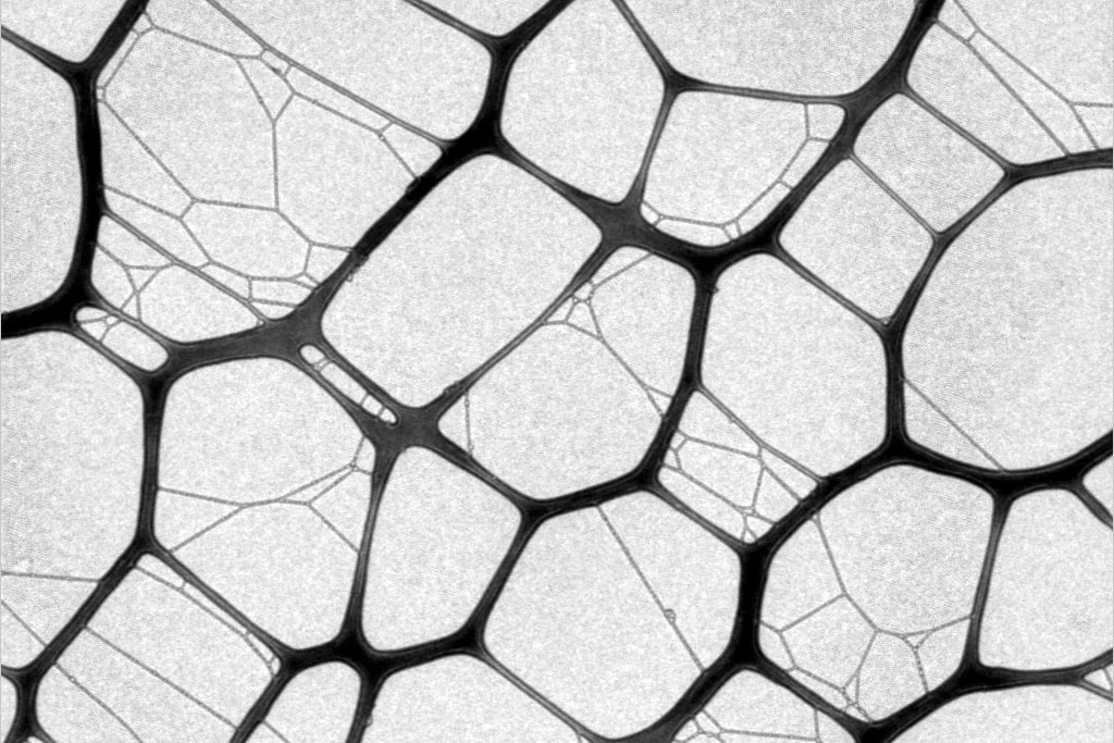 Coating and Coating Materials