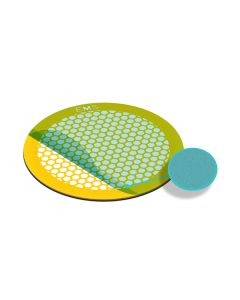 TEM Grids, Formvar Film coated, 600 Mesh, thin Bars, hexagonal, Au