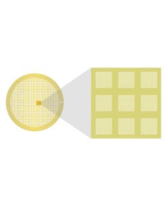 Au-flat, 2 µm Hole Size, 2 µm Hole Spacing, 200 Mesh, Au/Pd, 50 pieces