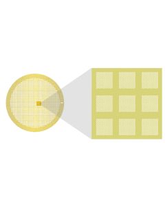 Au-flat, 2 µm Hole Size, 2 µm Hole Spacing, 200 Mesh, Au/Pd, 50 pieces