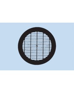 TEM Grids, 50/200 Mesh, Parallelstege mit Unterteilungen