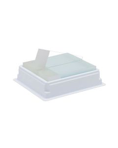 Adhesion Slide, Millennia 2.0, white frosted end, 75x25mm, 144 pieces