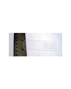 Plexiglas Microscope Slides for mounting serial sections, 5 pieces