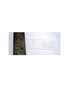 Plexiglas Microscope Slides