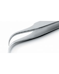 Rubis Tweezers, Axal, Style 7