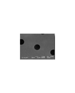 C-flat™ thick, 2,0µm Hole Size, 4,0µm Hole Spacing, Cu