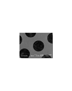 C-flat™ thick, 4,0µm Hole Size, 2,0µm Hole Spacing, Cu