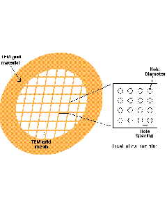 C-flat™, 4,0µm Hole Size, 1,0µm Hole Spacing, Au